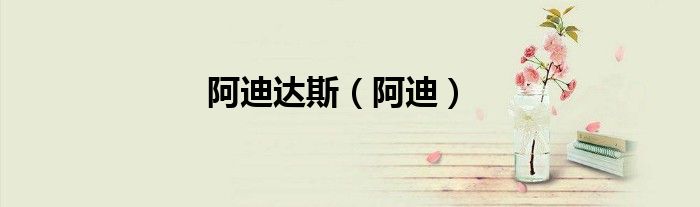 阿迪达斯（阿迪）
