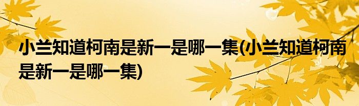 小兰知道柯南是新一是哪一集(小兰知道柯南是新一是哪一集)