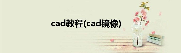 cad教程(cad镜像)