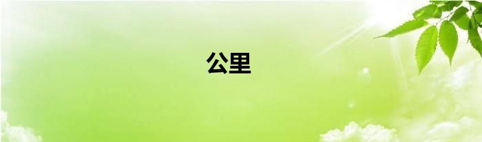 公里