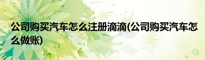 公司购买汽车怎么注册滴滴(公司购买汽车怎么做账)