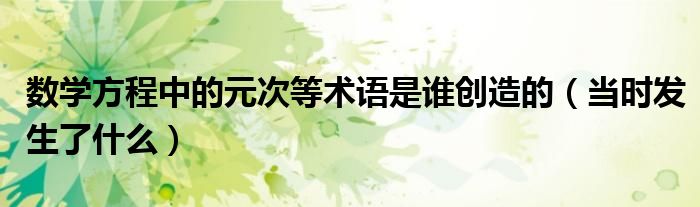 数学方程中的元次等术语是谁创造的(当时发生了什么)