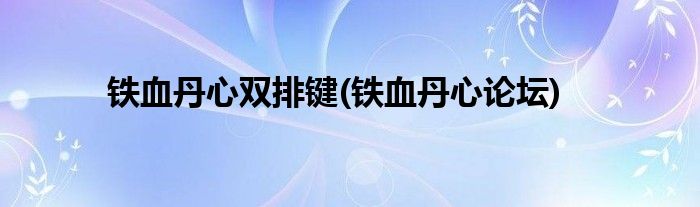 铁血丹心双排键(铁血丹心论坛)