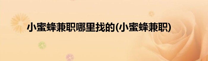 小蜜蜂兼职哪里找的(小蜜蜂兼职)