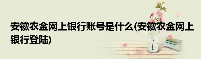 安徽农金网上银行账号是什么(安徽农金网上银行登陆)