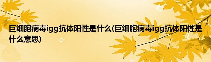 巨细胞病毒igg抗体阳性是什么(巨细胞病毒igg抗体阳性是什么意思)