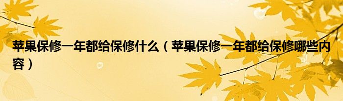 苹果保修一年都给保修什么(苹果保修一年都给保修哪些内容)