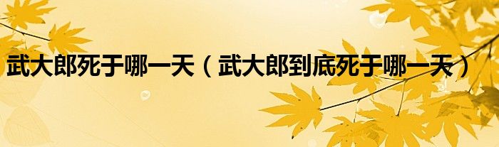 武大郎死于哪一天(武大郎到底死于哪一天)