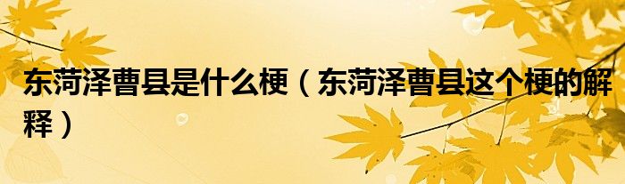 东菏泽曹县是什么梗(东菏泽曹县这个梗的解释)