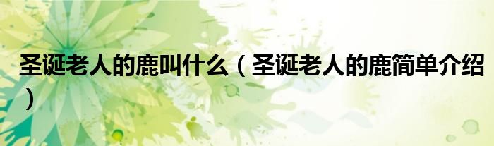 圣诞老人的鹿叫什么(圣诞老人的鹿简单介绍)