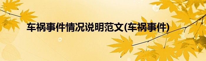 车祸事件情况说明范文(车祸事件)