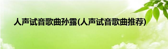 人声试音歌曲孙露(人声试音歌曲推荐)