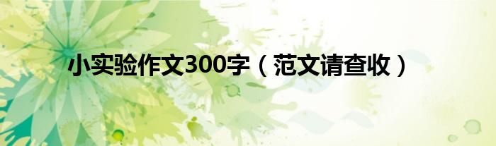 小实验作文300字(范文请查收)