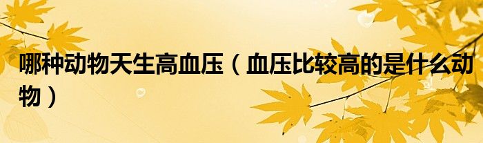哪种动物天生高血压(血压比较高的是什么动物)