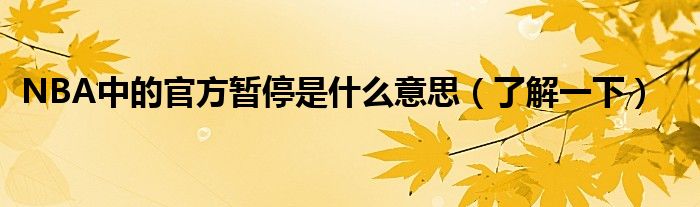NBA中的官方暂停是什么意思(了解一下)