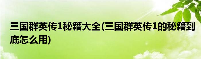 三国群英传1秘籍大全(三国群英传1的秘籍到底怎么用)