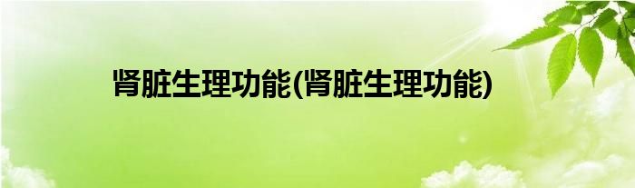 肾脏生理功能(肾脏生理功能)