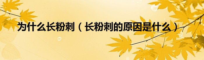 为什么长粉刺(长粉刺的原因是什么)
