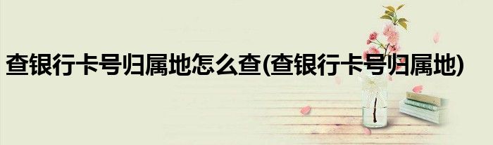 查银行卡号归属地怎么查(查银行卡号归属地)
