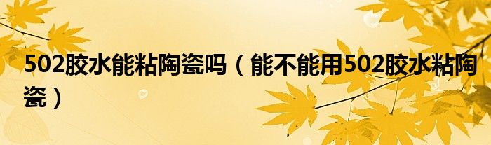 502胶水能粘陶瓷吗(能不能用502胶水粘陶瓷)