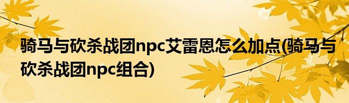 骑马与砍杀战团npc艾雷恩怎么加点(骑马与砍杀战团npc组合)