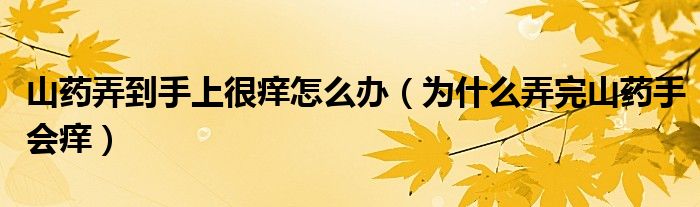 山药弄到手上很痒怎么办(为什么弄完山药手会痒)