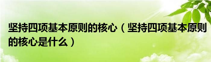 坚持四项基本原则的核心(坚持四项基本原则的核心是什么)