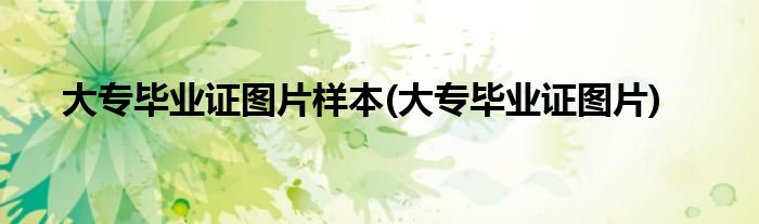 大专毕业证图片样本(大专毕业证图片)