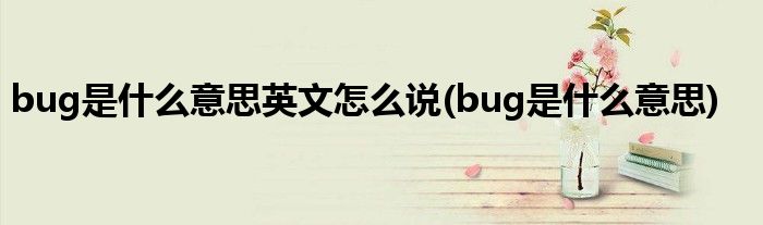 bug是什么意思英文怎么说(bug是什么意思)