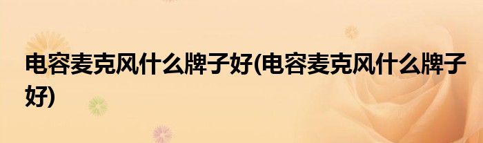 电容麦克风什么牌子好(电容麦克风什么牌子好)