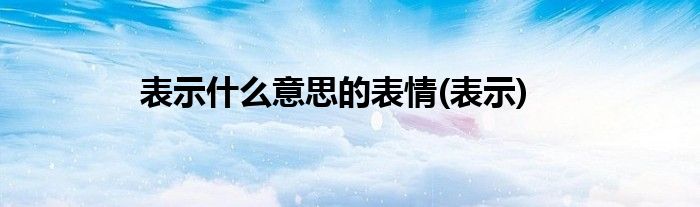 表示什么意思的表情(表示)