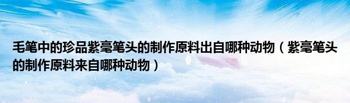 毛笔中的珍品紫毫笔头的制作原料出自哪种动物(紫毫笔头的制作原料来自哪种动物)