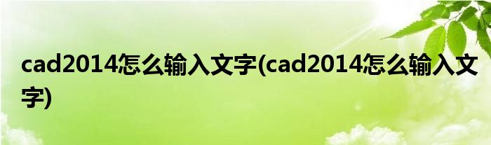 cad2014怎么输入文字(cad2014怎么输入文字)