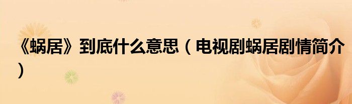 《蜗居》到底什么意思(电视剧蜗居剧情简介)