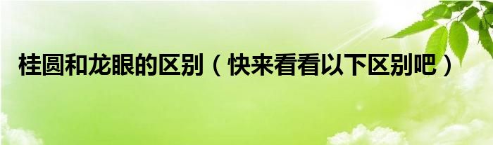 桂圆和龙眼的区别(快来看看以下区别吧)