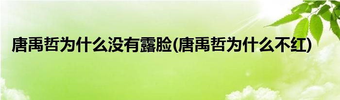 唐禹哲为什么没有露脸(唐禹哲为什么不红)