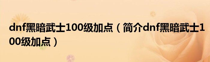 dnf黑暗武士100级加点(简介dnf黑暗武士100级加点)