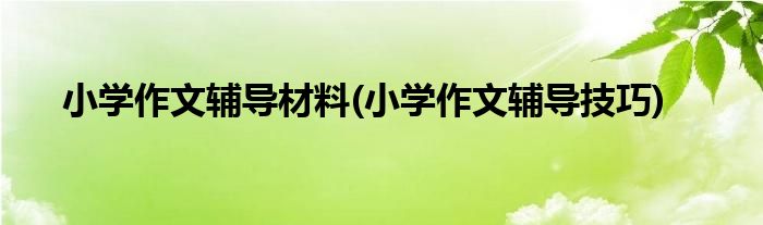 小学作文辅导材料(小学作文辅导技巧)