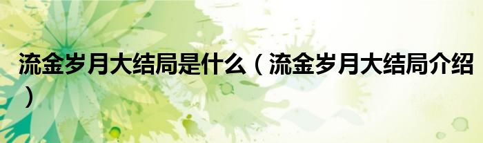 流金岁月大结局是什么(流金岁月大结局介绍)