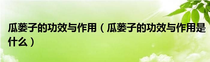 瓜蒌子的功效与作用(瓜蒌子的功效与作用是什么)