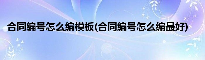 合同编号怎么编模板(合同编号怎么编最好)