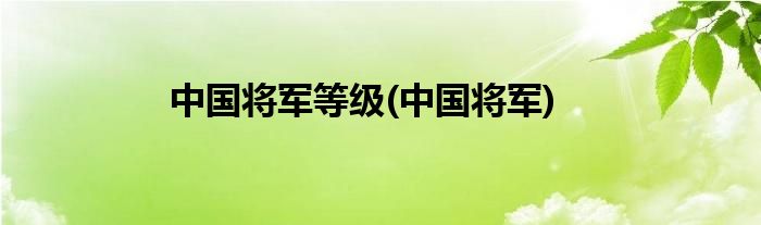 中国将军等级(中国将军)