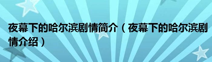 夜幕下的哈尔滨剧情简介(夜幕下的哈尔滨剧情介绍)