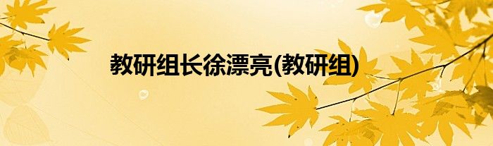 教研组长徐漂亮(教研组)