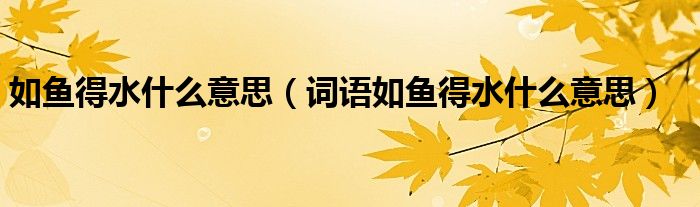 如鱼得水什么意思(词语如鱼得水什么意思)