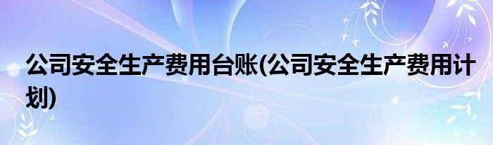 公司安全生产费用台账(公司安全生产费用计划)