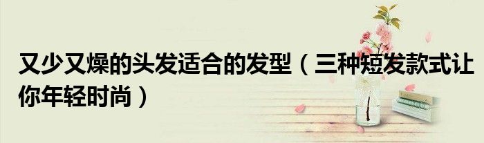 又少又燥的头发适合的发型(三种短发款式让你年轻时尚)