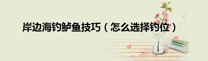 岸边海钓鲈鱼技巧(怎么选择钓位)