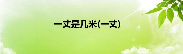 一丈是几米(一丈)