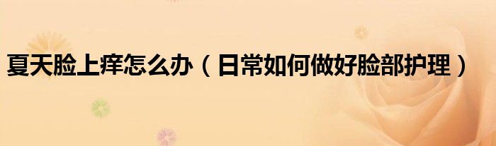 夏天脸上痒怎么办(日常如何做好脸部护理)